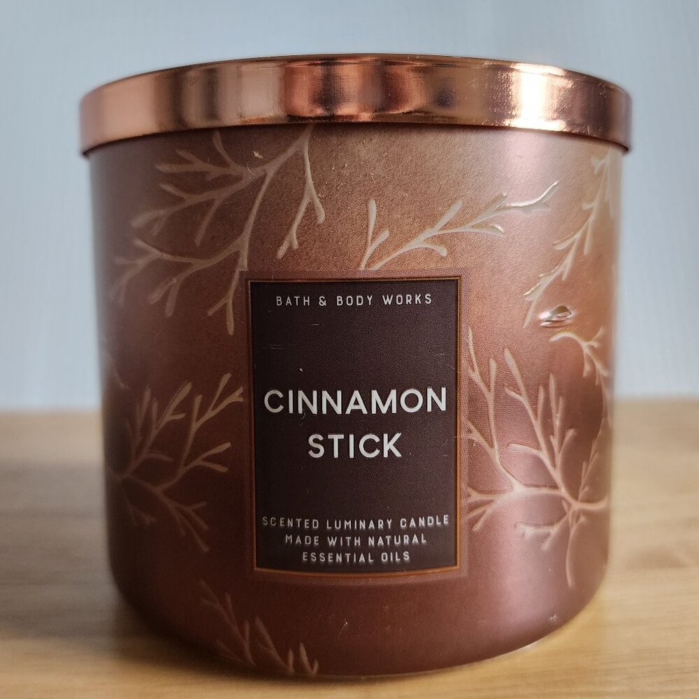 Bath & Body Works Cinnamon Stick Candle - Copper and Bronze